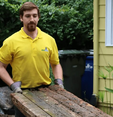 Junk Doctors crew serving Clemmons NC — licensed, insured, background-checked