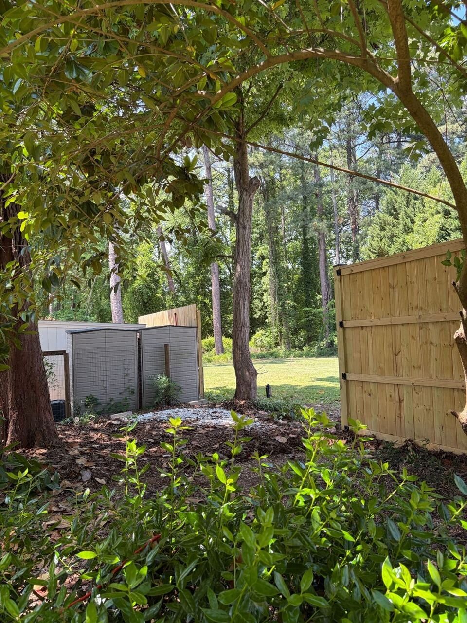 Same backyard area cleared after Junk Doctors removed the old shed